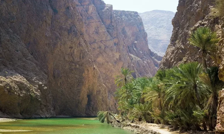 Казахстанцы смогут посещать Оман без виз - изображение 1