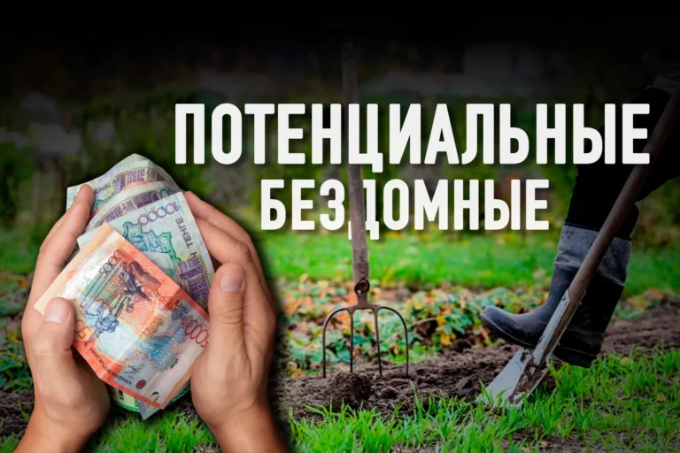 Обитатели дач: жизнь на 30 тыс. тенге, экономия на лекарствах, голод и надежда на бога - изображение 1