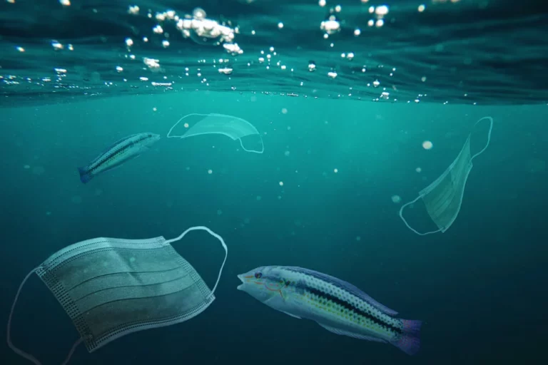 1,5 миллиарда медицинских масок попало в Мировой океан - изображение 1