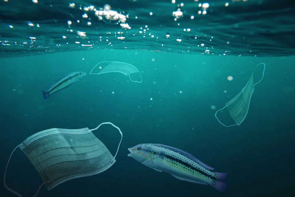 Изображение 1 для 1,5 миллиарда медицинских масок попало в Мировой океан