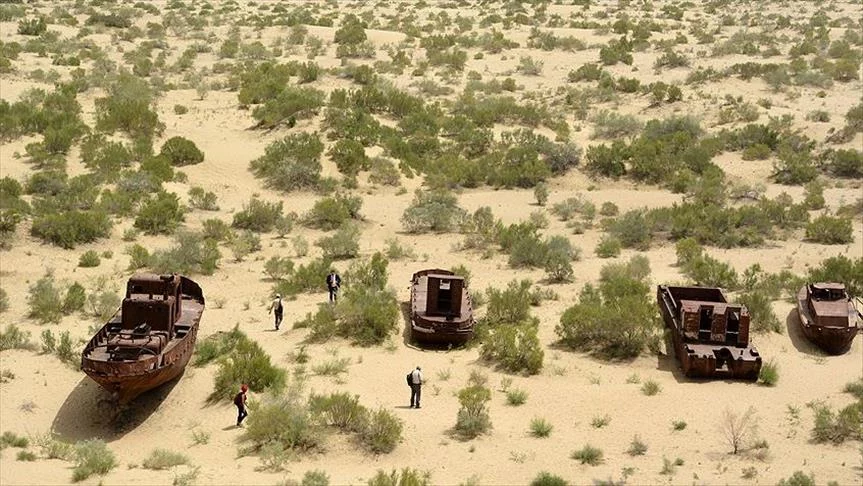 Изображение 1 для 160 тысяч га леса высадят на дне Аральского моря