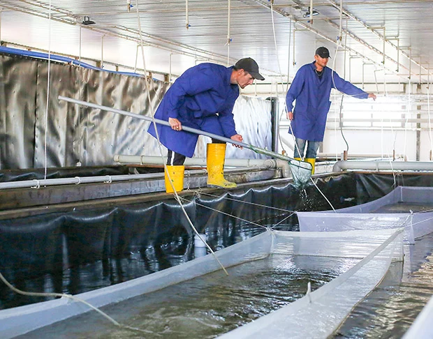 Изображение 1 для В Казахстане восстановили комитет рыбного хозяйства