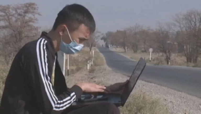 В Туркестанской области лишь 1 семья из 10 имеет высокоскоростной интернет - изображение 1