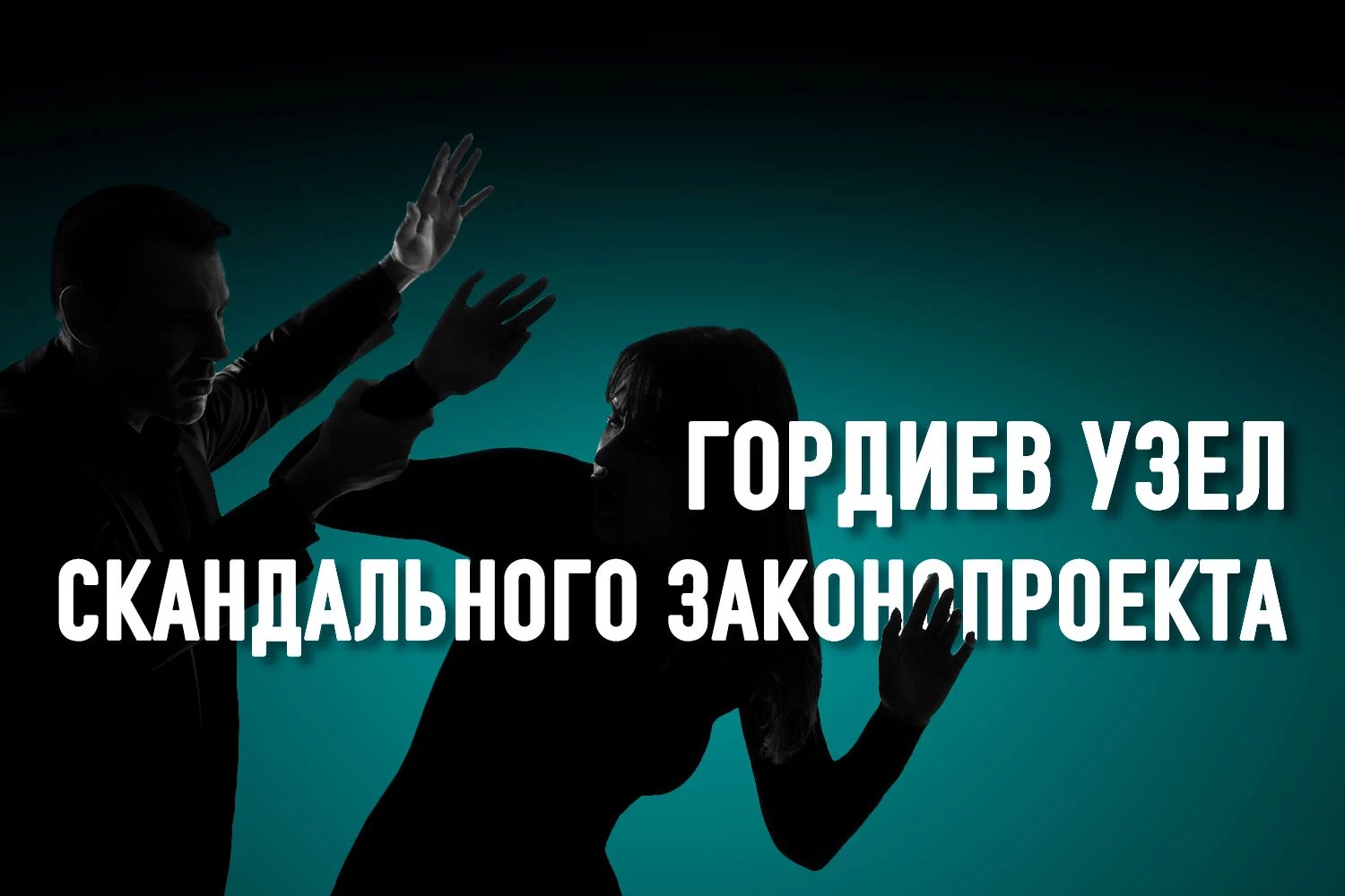 Изображение 5 для Разрушает ли наши традиционные ценности законопроект о противодействии семейно-бытовому насилию?