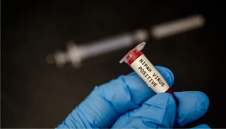 ВОЗ предупредила о новой пандемии из-за вируса Nipah - изображение 1