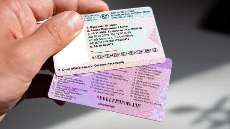 Президент подписал закон, согласно которому права и техпаспорт можно не возить с собой - изображение 1