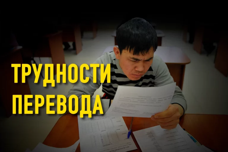 Особенности образования мигрантов - изображение 1