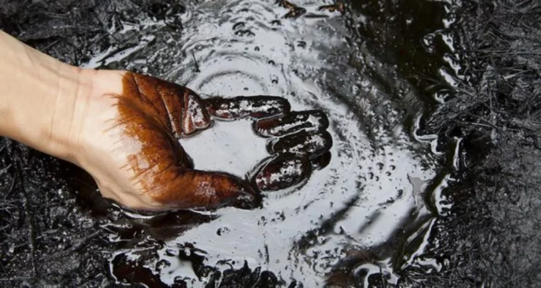 В Мангистау открыто самое крупное нефтяное месторождение за годы Независимости - изображение 1