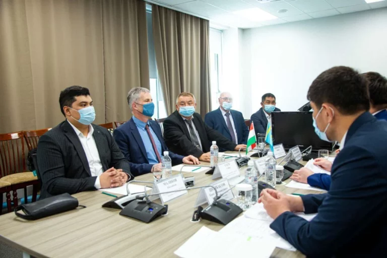 Венгерские инвесторы вложат деньги в Туркестанский регион - изображение 1