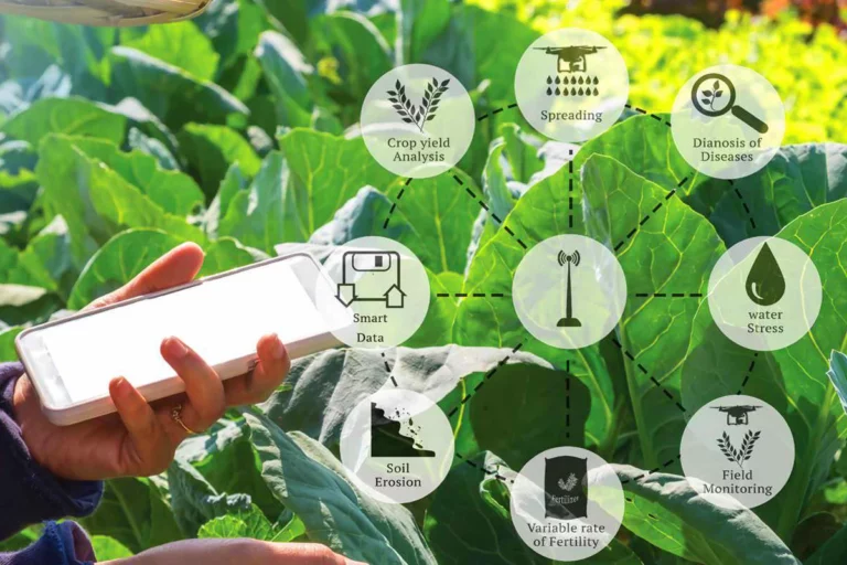 Президент поручил ускорить цифровизацию - изображение 1