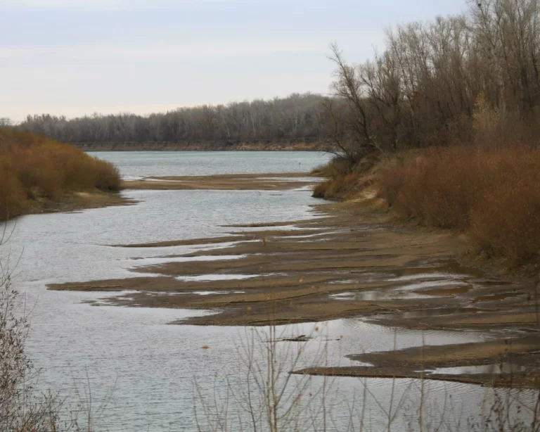 На Урале в районе Оренбурга построят плотину - изображение 1