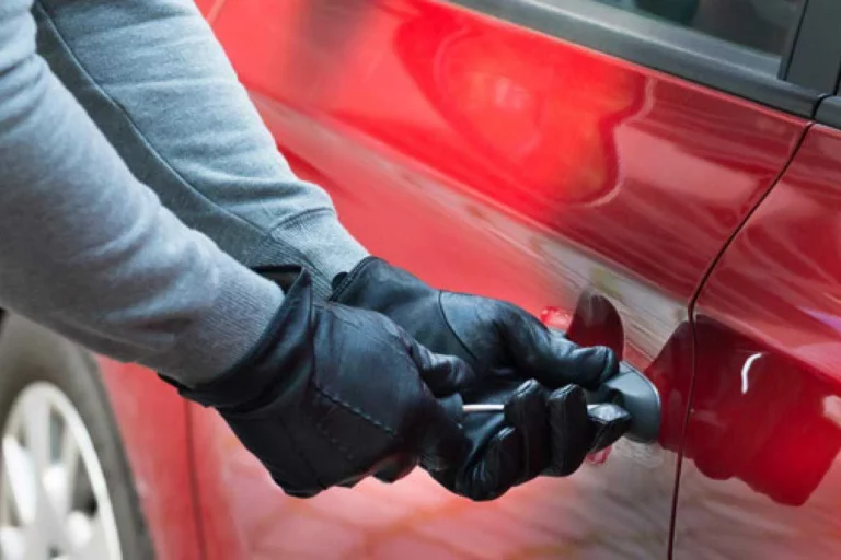 Трех казахстанцев арестовали в Южной Корее за угон автомобилей - изображение 1