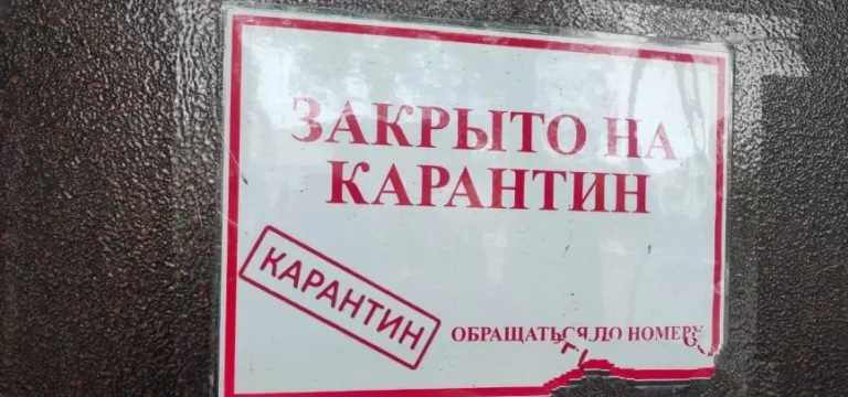 Бекшин готовит новое постановление - изображение 1