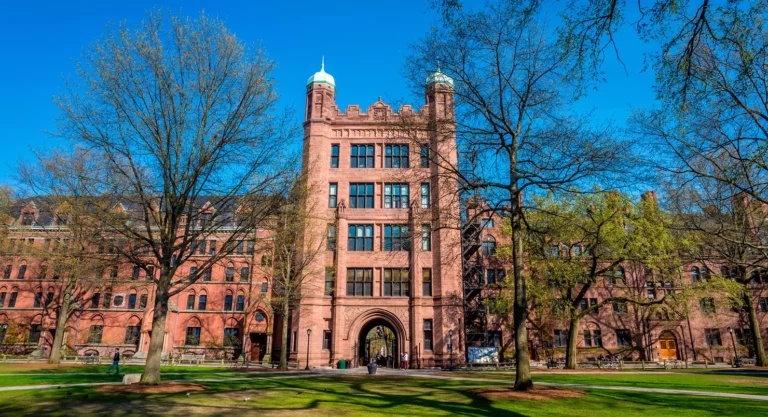 В Казахстане откроют кампусы 5 ведущих зарубежных вузов - изображение 1