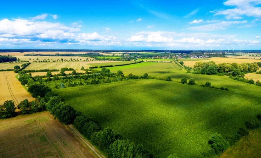 Изображение 1 для Кандасам не будут давать сельхозземли