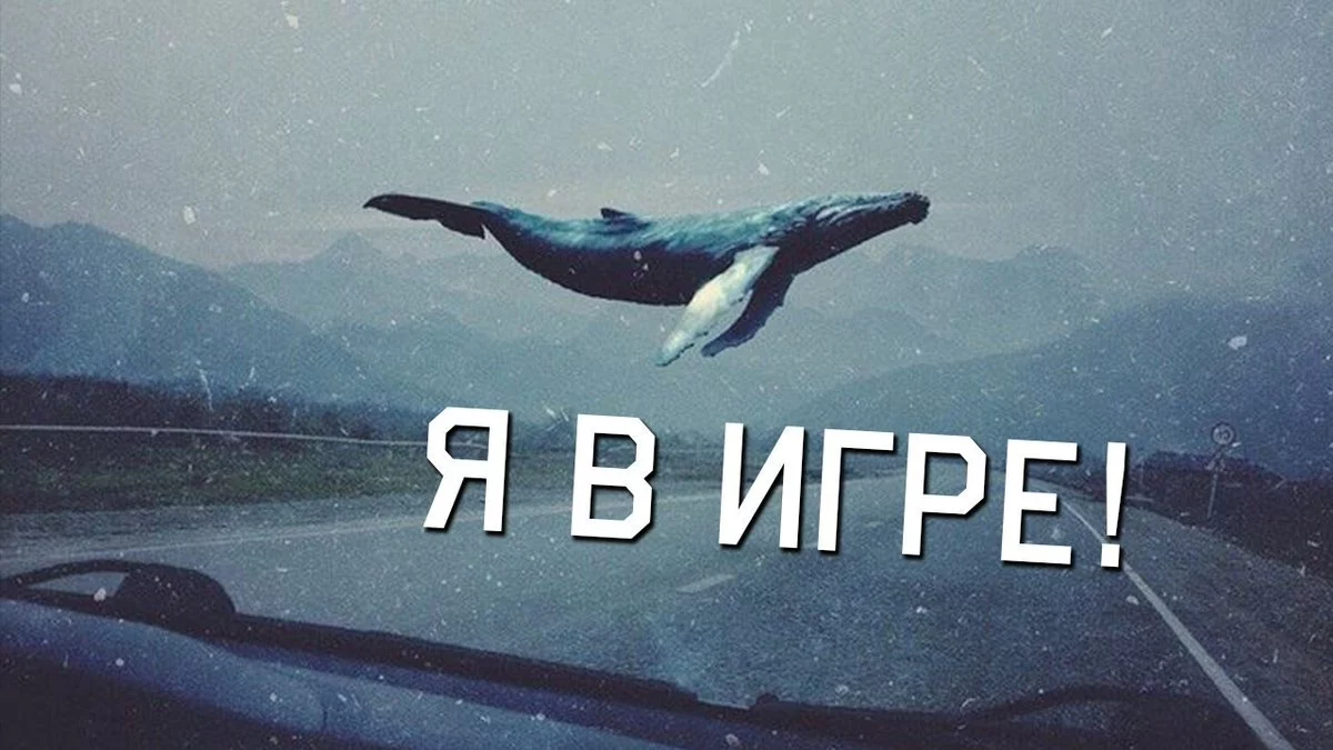 Изображение 1 для Суд Арыси вынес приговор создателю игры «Синий кит»