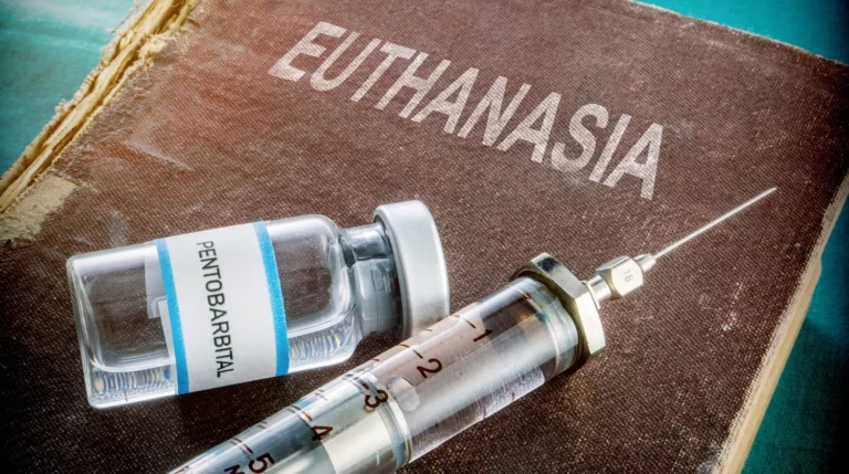 Испания приняла закон об эвтаназии - изображение 1