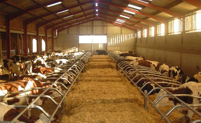 Изображение 1 для В Казахстане собираются создать 100 тысяч фермерских хозяйств