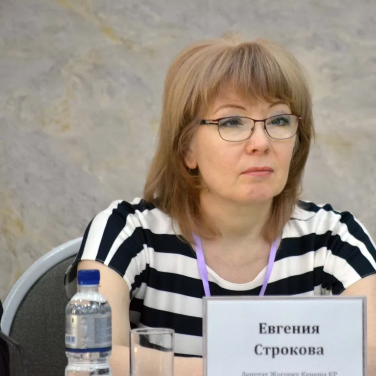 В Кыргызстане удивлены заинтересованностью США и ЕС к новой Конституции страны - изображение 1