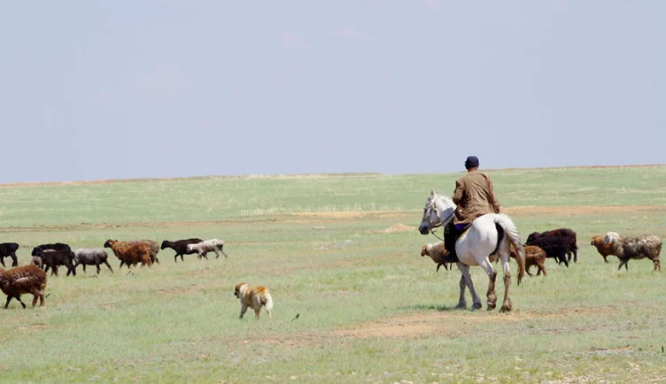 Изображение 1 для Помощник президента: в вопросе продажи земли иностранцам поставлена точка