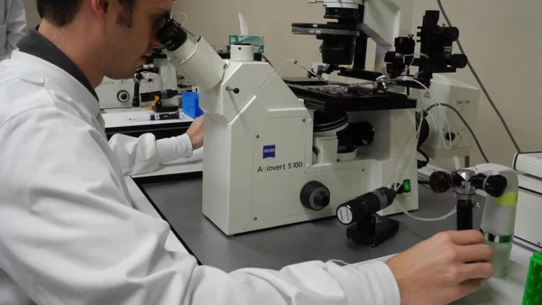 В Европе снижают смертность от рака - изображение 1