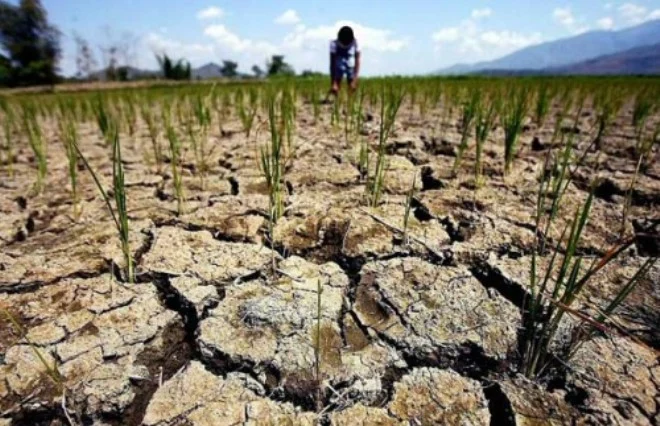 Изображение 1 для Минсельхоз предупреждает о засушливом лете