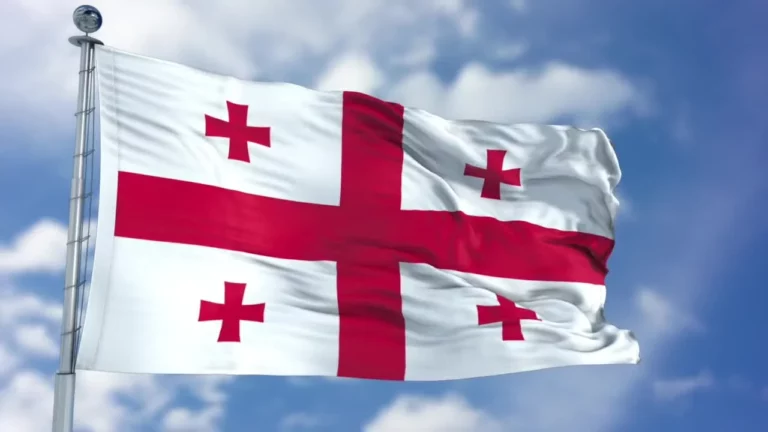 Оппозиция Грузии не поддержала план ЕС по выводу страны из кризиса - изображение 1