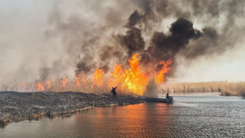 Изображение 1 для Трагедия на Балхаше
