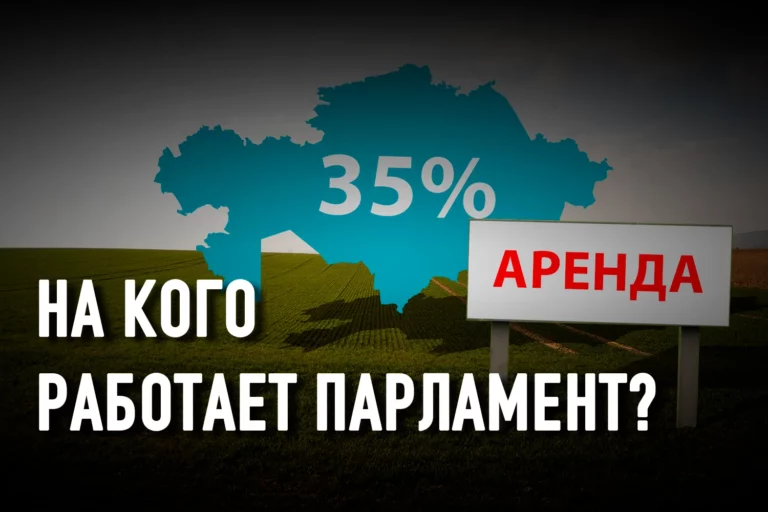 В аренду иностранцам могут сдать 35% территории Казахстана - изображение 1