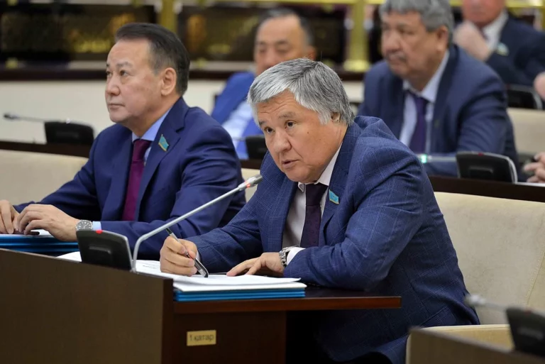 Сенаторы против передачи земель иностранцам для лесоразведения - изображение 1