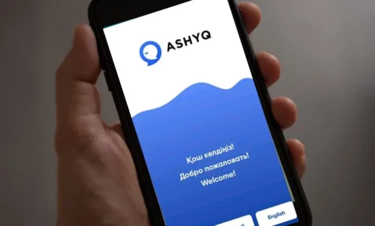 Депутат призвала доработать Ashyq: «Очередное приложение собирает персональные данные» - изображение 1