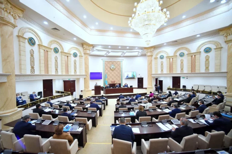 Сенаторы предложили предоставлять землю для лесоразведения только казахстанцам и вернули резонансный проект в Мажилис - изображение 1