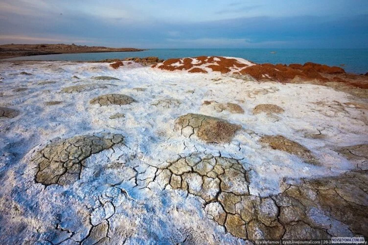 Изображение 1 для ООН объявила Приаралье зоной экологических инноваций