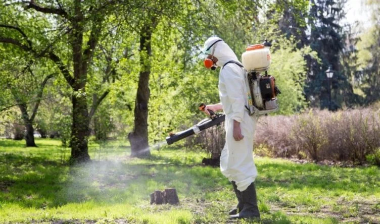 Изображение 1 для Акимат Павлодара вернул в бюджет средства, выделенные на дезинсекцию