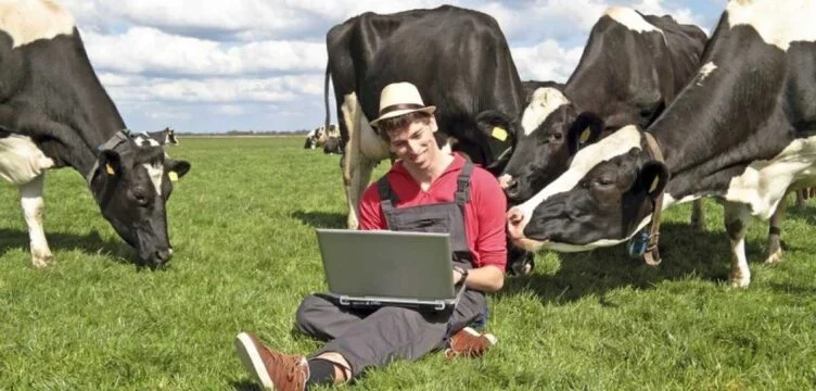 Изображение 3 для Денежные доходы горожан почти на 38% выше, чем у сельчан