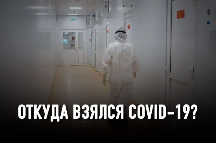 Выяснить происхождение Covid-19 и предотвратить будущие пандемии - изображение 1