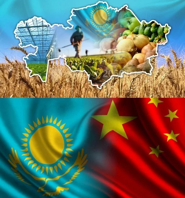 Изображение 1 для Экспорт агропромышленной продукции Казахстана в Китай вырос на 9%