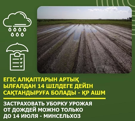 Изображение 1 для Минсельхоз: Уборку урожая от дождей можно застраховать только до 14 июля