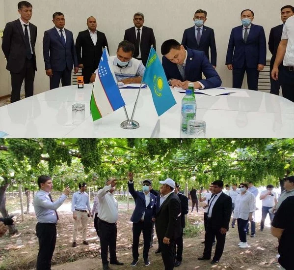 Изображение 1 для В ближайшее время Казахстан и страны ЦА сформируют агропоезд-автокараван