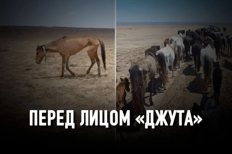 Засуха в Казахстане: природный катаклизм или халатность? - изображение 1