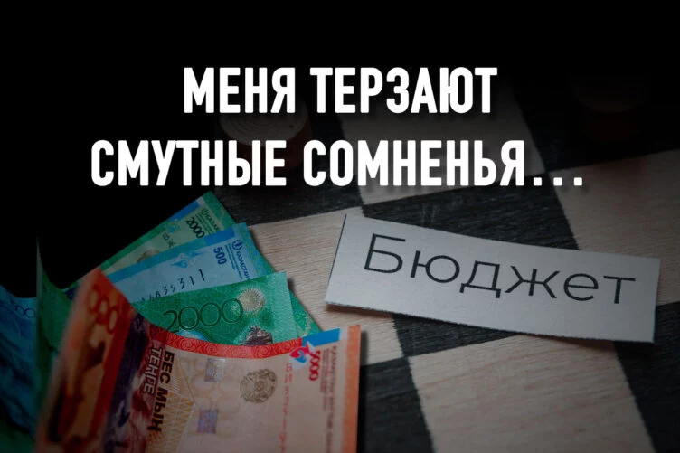 Маслихаты – хорошо оплачиваемая за наш счет «прислуга» акимов? - изображение 1