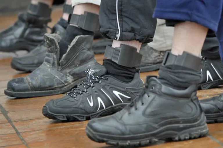 На педофилов наденут электронные браслеты - изображение 1