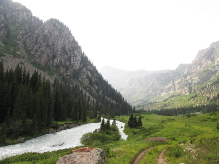 Изображение 1 для На родине Токаева не могут потушить пожар