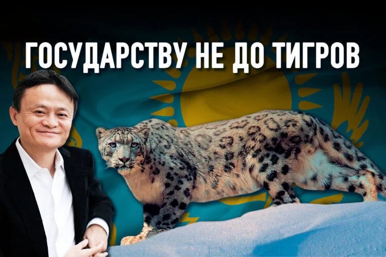 Поможет ли создатель Alibaba Джек Ма нашим снежным барсам? - изображение 1