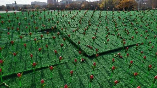 Изображение 1 для Тюльпаны за Т15 млн, качели за Т5,5 млн. Ответит ли компания Clover media group за облом «эстетического наслаждения жителей Актау»?