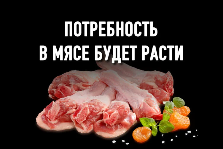 Куриный переполох: сколько будет стоить белое мясо? - изображение 1