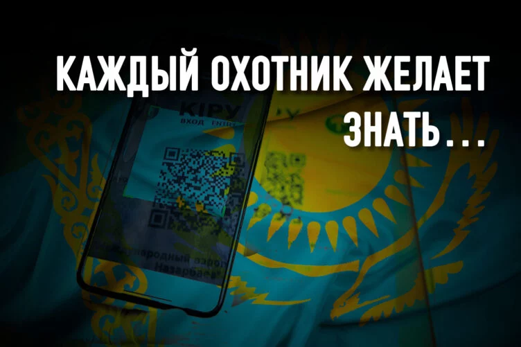 Почему на минздрав подан коллективный иск за приложение Ashyq - изображение 1