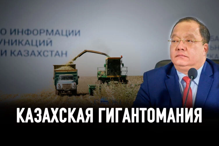 Почему большинство созданных сельскохозкооперативов оказались фейковыми? - изображение 1