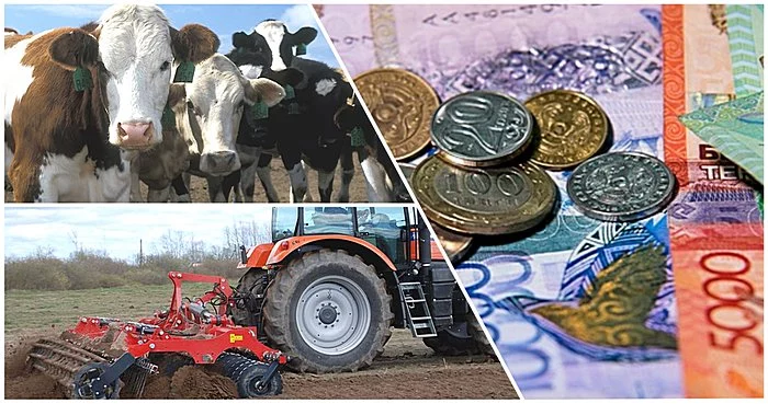 Изображение 1 для Елімізде ауыл шаруашылығына бөлінген субсидия жымқырылған