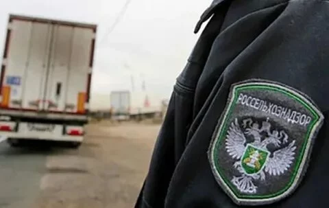 Изображение 1 для Почему Россия не разрешила ввезти сельхозпродукции из Казахстана?